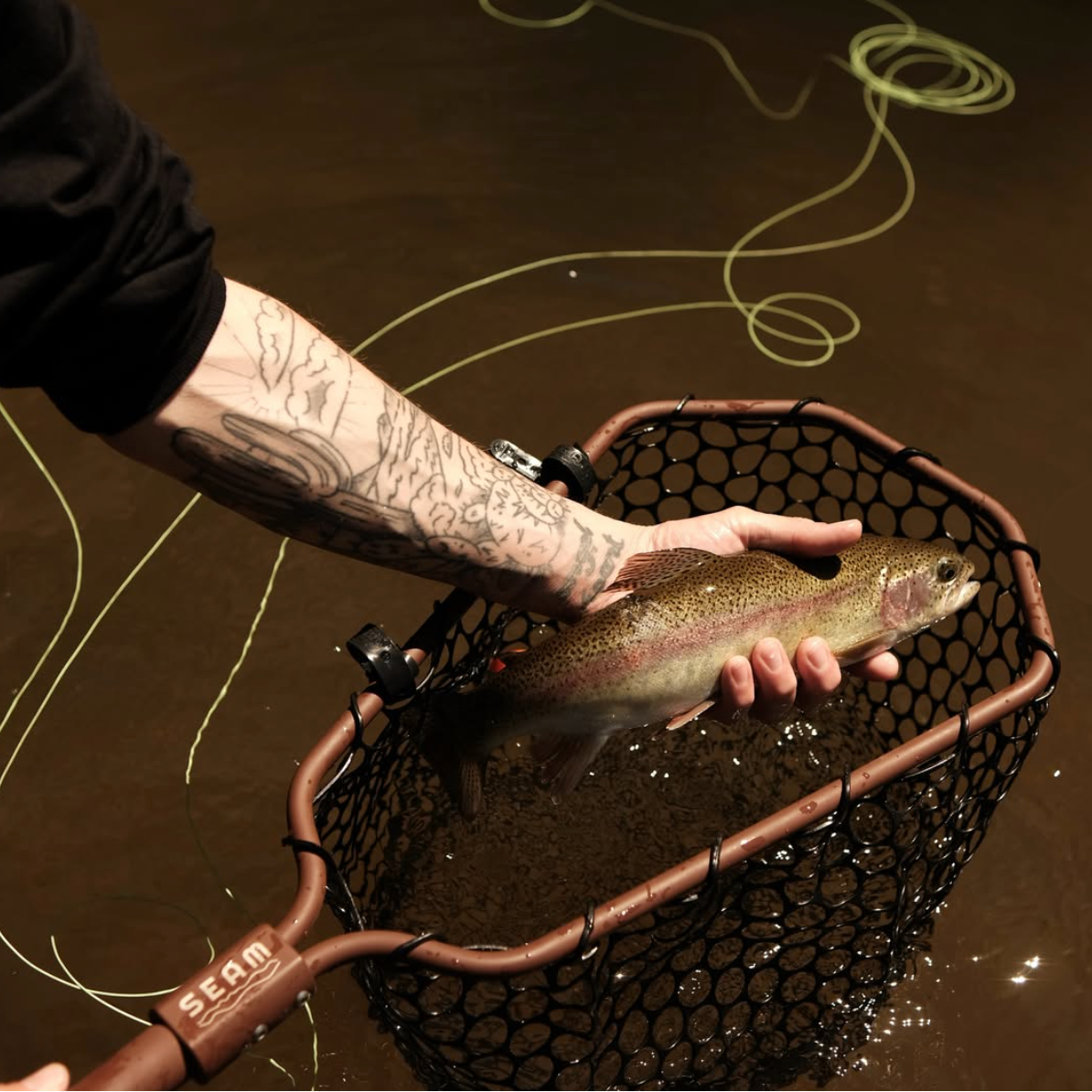 Person holding a fish caught with a net in a body of water